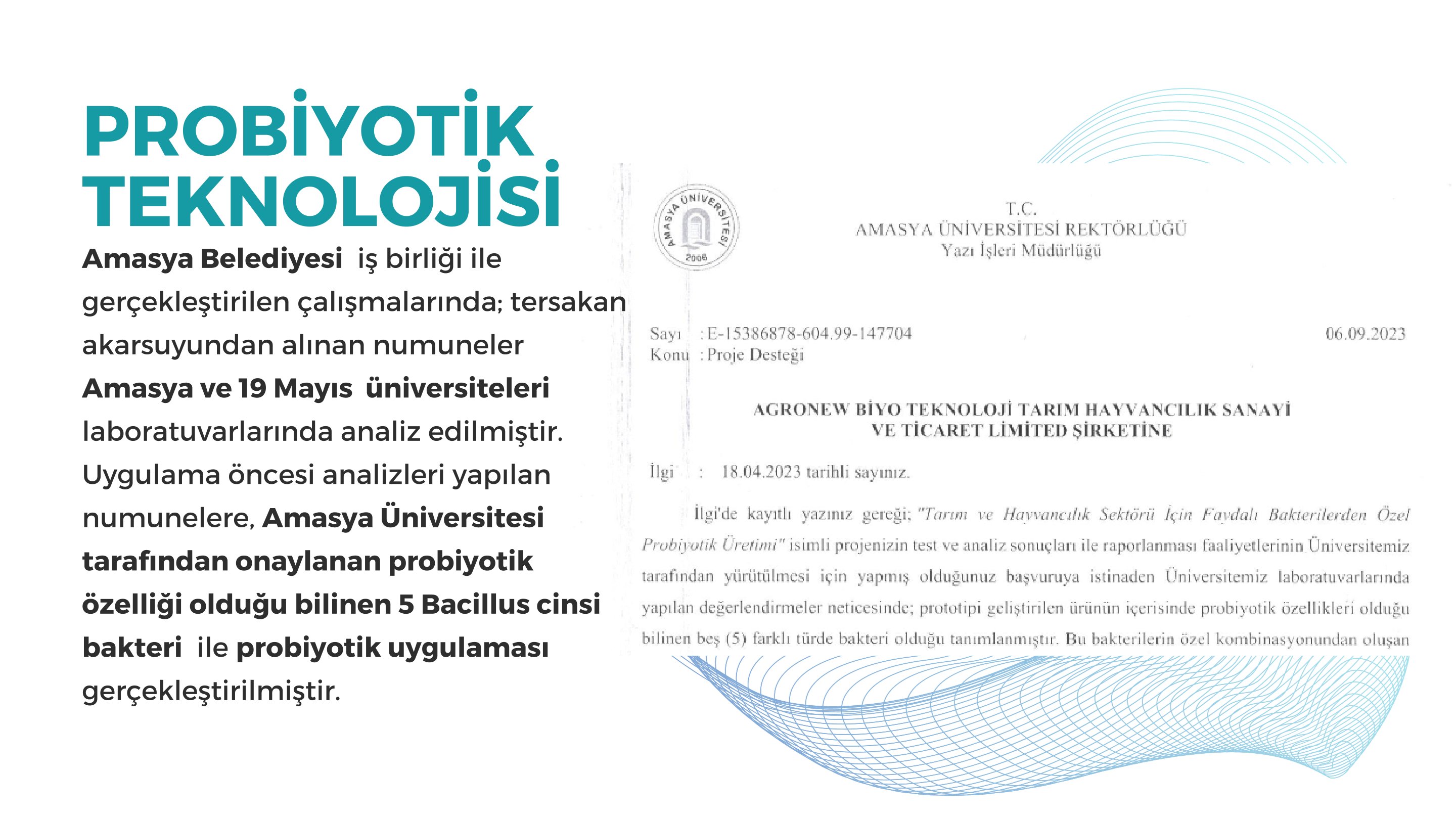 Amasya Tersakan Projesi 5